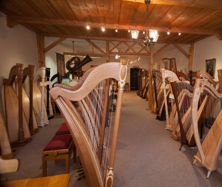 Musikhaus Fackler, Harfen