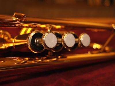 Link zu Blasinstrumente