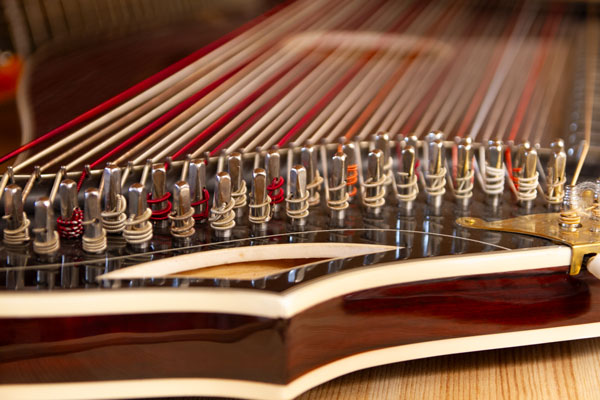 Musikhaus Fackler, Zither