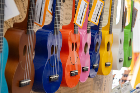 Musikhaus Fackler, Ukulele