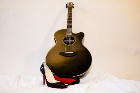 Musikhaus Fackler, Westerngitarren